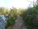 2016-09-20 10-18-24 Vallee du Cele JLe